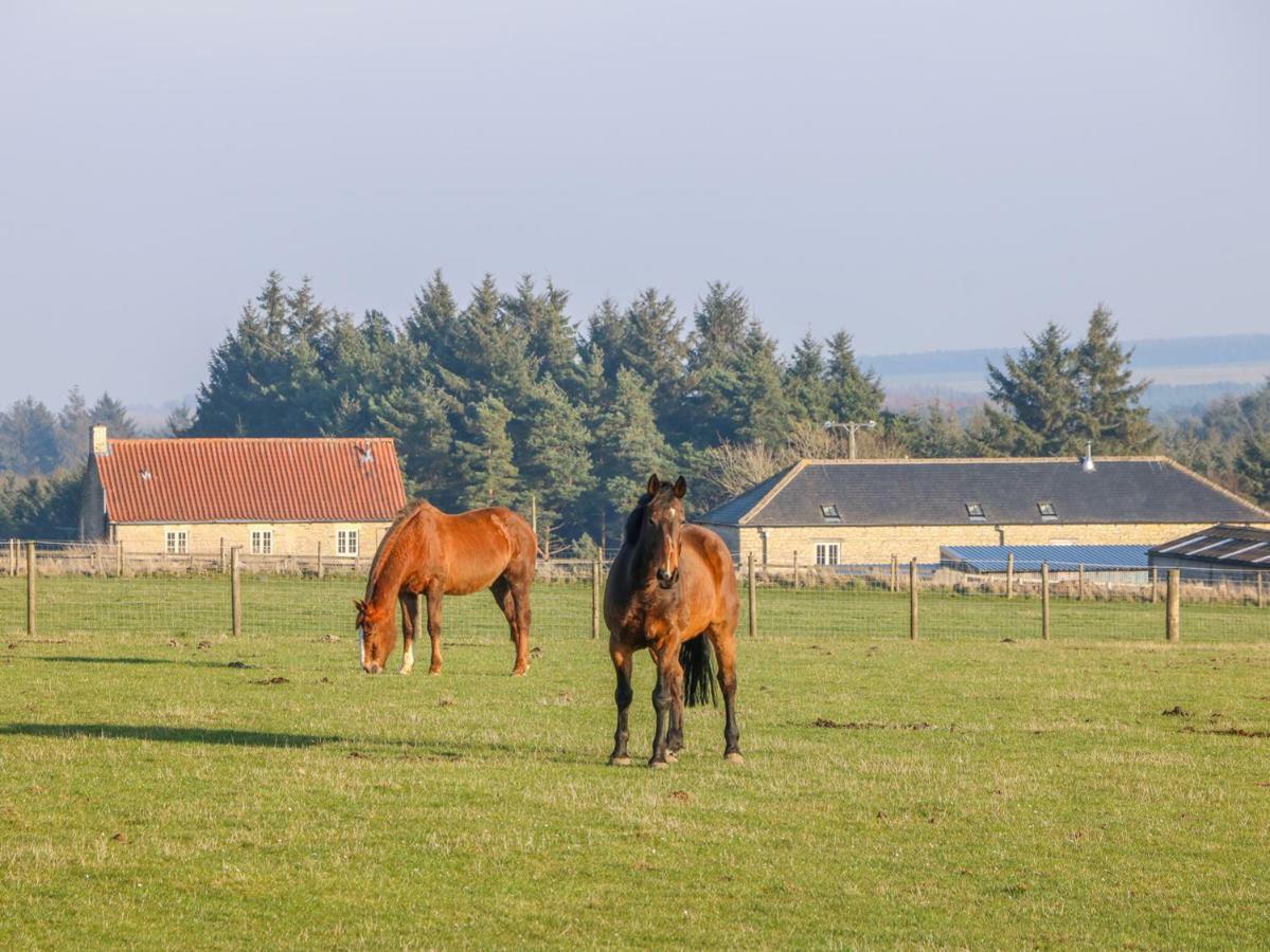 Willa The Byre Thirsk Zewnętrze zdjęcie